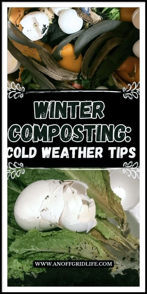 Winter Composting, Composting Tips, Compost Pile, Diy Compost, Composting Process, Environmentally Friendly Living, How To Make Lasagna, How To Make Compost, Compost Soil