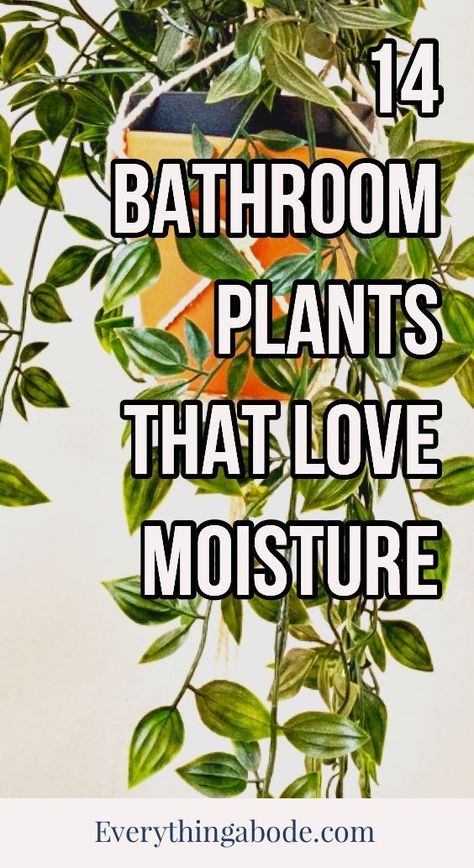 Bathroom Plants Decor, Best Bathroom Plants, Lily Plants, Inside Plants, Growing Plants Indoors, Pothos Plant, Aloe Plant, Palm Plant, Bathroom Plants