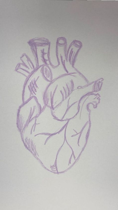 Atomic Heart Drawing, Goth Heart Drawing, Anatomic Heart Drawing, Grunge Heart Drawing, Realistic Heart Drawing, Skeleton Art Drawing, Heart Drawing Ideas, Romantic Sketches, Anatomical Heart Drawing