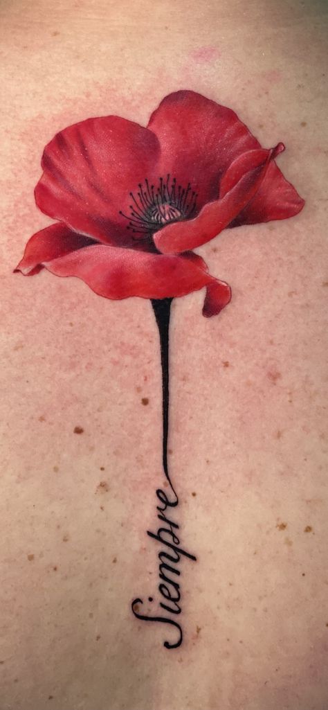 Poppy Remembrance Tattoo, Colored Poppy Tattoo, Realism Poppy Tattoo, Red Poppy Tattoo Design, Poppy Name Tattoo, Large Poppy Tattoo, Delicate Poppy Tattoo, Poppy Tattoos For Women, Poppy Flower Tattoo Color