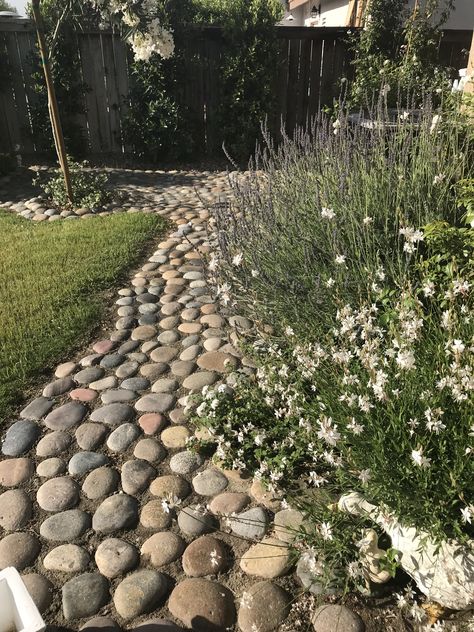 Garden River Rocks Ideas, Rock Walking Path, Rock Parking Pad, River Rock Walkways Paths, Diy Outdoor Gate Ideas, River Rock Walkway, River Rock Pathway, River Rock Patio, River Rock Path