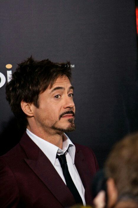 Robert Downey Jr at "The Hangover: Part II" Premiere - (2011) Hank Palmer, Robert Downey Jnr, Robert Jr, Iron Man 2008, Toni Stark, Marvel Men, Robert Downey Jr Iron Man, The Hangover, Iron Man Tony Stark