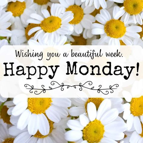 Happy Monday Images, Good Morning Wishes Friends, Monday Greetings, Good Morning Monday Images, Happy Good Morning Images, Monday Images, Monday Morning Quotes, Good Morning Monday, Beautiful Good Night Quotes