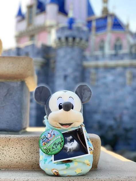 Disneyland Gender Reveal, Disneyland Baby Announcement, Gender Reveal Disney, Disney World Baby Announcement, Disney Gender Reveal Ideas, Disney Pregnancy Reveal, Disney Gender Reveal, Disney Maternity, Disneyland Photography