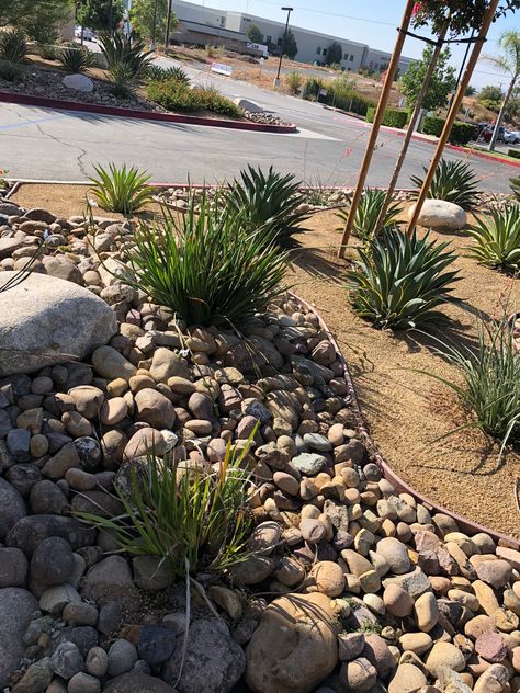 Dry Landscape Ideas, Desert Ranch Landscaping, Dry Scape Landscape Design Yard Ideas, Dessert Yard Landscape, Dry Landscape, Dg Landscaping, Front Yard Landscaping Ideas With Rocks, Zero Scape Landscaping Front Yards, High Desert Landscaping Ideas