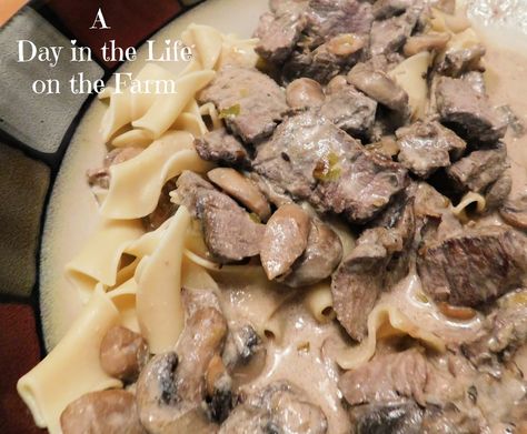 Beef And Mushroom Stroganoff, Filet Mignon Recipes Grilled, Beef With Vegetables, Chuck Steak Recipes, Stroganoff Beef, Filet Mignon Recipes, Beef Filet, Mushroom Stroganoff, Stroganoff Recipe