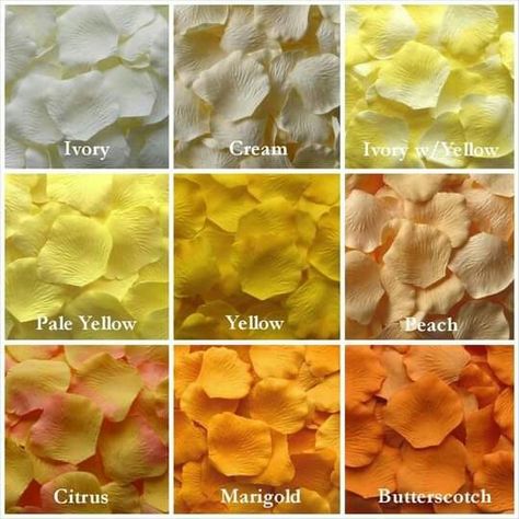 Yellow Rose Petals, Fake Rose Petals, Flower Girl Petals, Color Knowledge, Aisle Runners, Silk Rose Petals, Color Mixing Chart, Match Colors, Silk Rose