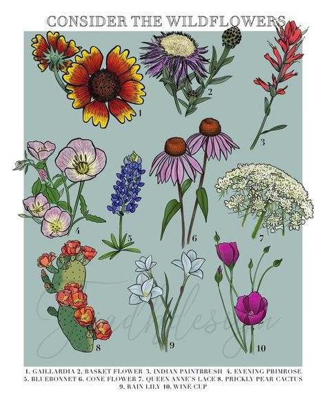 Texas Wildflower Bouquet Tattoo, Texas Wildflowers Art, Texas Wildflower Tattoo, Texas Wild Flowers, Wildflower Mural, Consider The Wildflowers, Common Wildflowers, Painted Boots, Floral Lettering