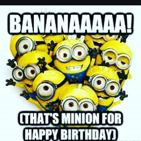 BANANAAAAA! That's Minion For Happy Birthday minion minions minion quotes minion quotes and sayings Happy Bday Meme, Minion Birthday Quotes, Minion Birthday Wishes, Happy Birthday Minions, Minions Funny Images, Funny Happy Birthday Wishes, Happy Minions, Birthday Wishes Funny, Minion Birthday