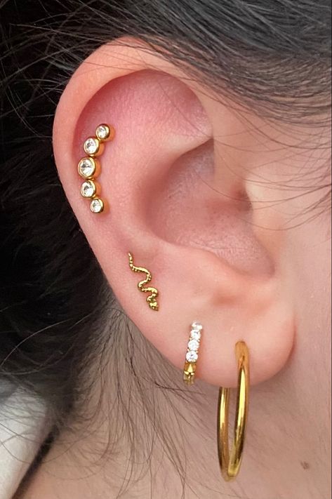 ear, piercing, helix Ear With Piercings, Helix Piercing Men, Low Helix Piercing, Snake Piercing, Ear Piercing Helix, Piercing Men, Earlobe Piercings, Earrings Snake, Helix Jewelry