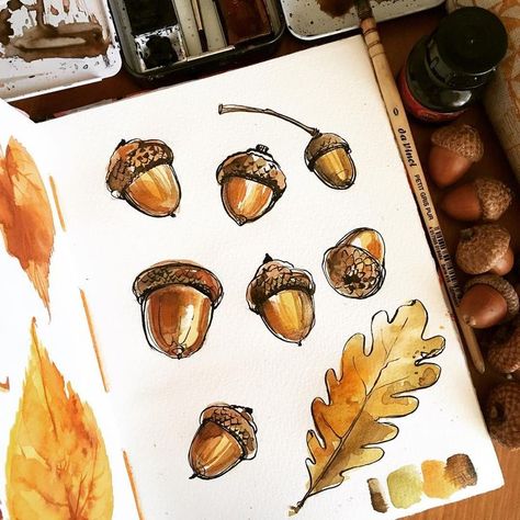 Acorn Drawing, Acorn Tattoo, Acorn Painting, Painting Journal, Fall Drawings, 달력 디자인, Diy Watercolor Painting, Watercolor Ink, Art Lessons Elementary