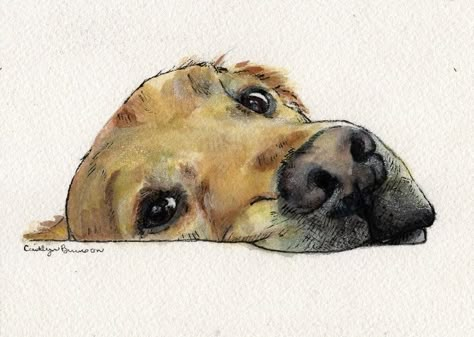 Illustration Kunst, 강아지 그림, Watercolor Dog, Watercolor Ideas, Dog Drawing, Water Colors, Dog Paintings, Painting Art Projects, Watercolor Animals