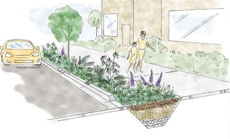 Bioswale Diagram, Guerrilla Gardening, Landscape Designer, Architectural Section, Plant Images, Soil Layers, Tree Trimming, Rain Garden, Street Design