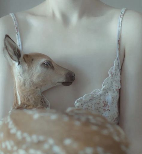 Laura Makabresku, Spirit Animals, Moment In Time, Tell A Story, In Time, Muse, Deer, Frozen