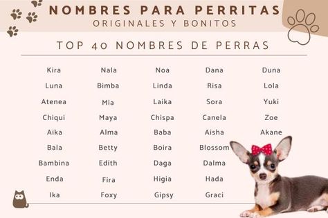 Dog Names Disney, Baños Aesthetic, New Dog, Dog Names, Love Is Sweet, Shih Tzu, Cute Gifts, Chihuahua, Cute Dogs