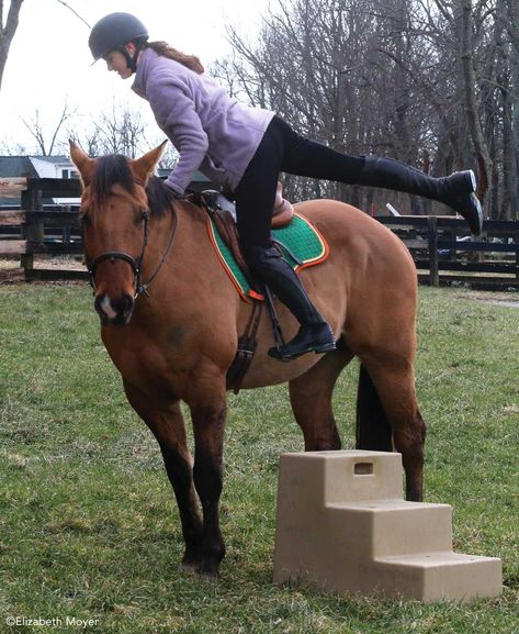 How to Mount and Dismount a Horse How To Ride A Horse, Mounting A Horse, Horse English, Ride A Horse, Equestrian Helmets, Horse Riding Tips, Equestrian Helmet, Horse Dressage, Horseback Rider