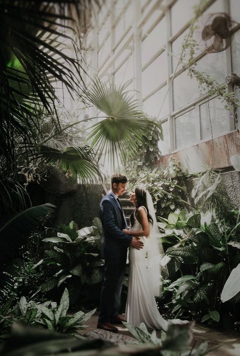 Botanical Wedding Photoshoot, Glass Green House Wedding, Green House Photography, Greenhouse Wedding Elopement, Rawlings Conservatory Wedding, Muttart Conservatory Photography, Botanic Garden Wedding Photoshoot, Wedding In Conservatory, Modern Greenhouse Wedding