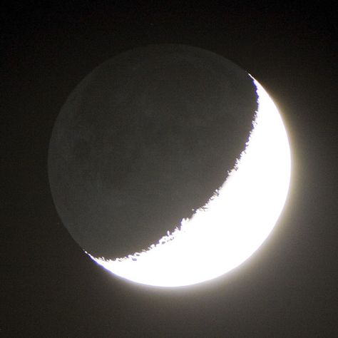 I’ve been meaning to take this picture for a while. When the moon is low enough in the horizon and after sunset, it gathers a bit of reflected light from the Earth. It’s easy to see with your eyes but difficult to capture with a camera unless you do a long exposure. Luna Moon, Allison Argent, The Moon Is Beautiful, Look At The Moon, Moon Pictures, Moon Lovers, Beautiful Moon, Stars At Night, Space And Astronomy