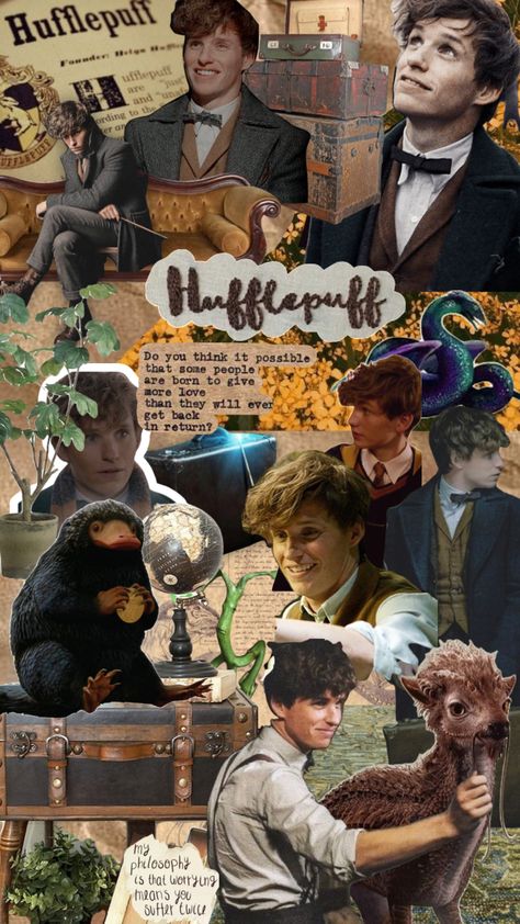 Fantastic Beats Wallpaper, Newt Scamander Aesthetic Wallpaper, Newt Scamander Icon, Young Newt Scamander, Newt Scamander Wallpaper, Fantastic Beasts Wallpaper, Fantastic Beasts Aesthetic, Newt Wallpaper, Newt Scamander Fan Art