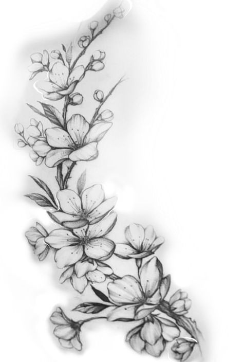 Small Blossom Tattoo, Japanese Cherry Blossom Tattoo Black And White, Tattoo Ideas Realistic, Small Tattoo Stencils, Drawings Tattoo Ideas, Cherry Blossom Tattoo Design, Art Drawings Tattoo, Artist Tattoo Ideas, Stencils Tattoo