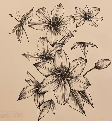 Clematis Flower Drawing, Clematis Flower Tattoo, Clematis Tattoo, Aesthetic Tattoos, Clematis Flower, Tattoo Lettering Fonts, Flowers Tattoo, Black And White Sketches, Aesthetic Tattoo