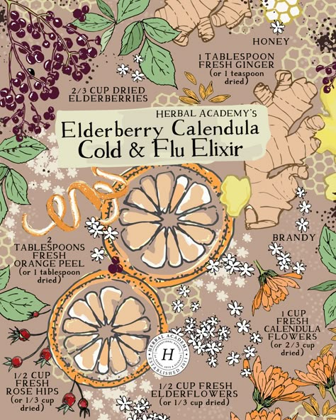 Cold Herbal Remedies, Herbal Cough Remedies, Witchcraft Cold Remedies, Elderberry Elixir Recipe, Apothecary Recipes, Herbs To Help With Cold, Elderberry Elixir, Herbal Tea For Colds, Herbs For Colds Immune System