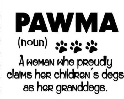 Parent Quotes, Labrador Husky, Dogs Funny, Dog Parents, Vinyl Ideas, Golden Retrievers, Parent Gifts, Dog Care, Dog Mom