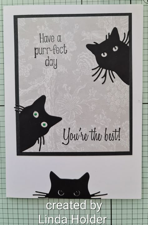 Cat Silhouette Cards, Black Cat Cards, Cards With Cats Handmade, Cat Card Ideas, Crazy Cats Cards, Cat Birthday Cards, Cards With Cats, Cricut Card Ideas, Cat Cards Handmade