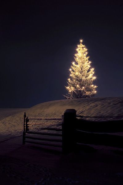 Christmas Tree In The Dark Pictures, Photos, and Images for Facebook, Tumblr, Pinterest, and Twitter Lit Christmas Tree, Christmas Scenes, Noel Christmas, Merry Little Christmas, Christmas Love, Country Christmas, Christmas Joy, Christmas Pictures, Christmas Inspiration