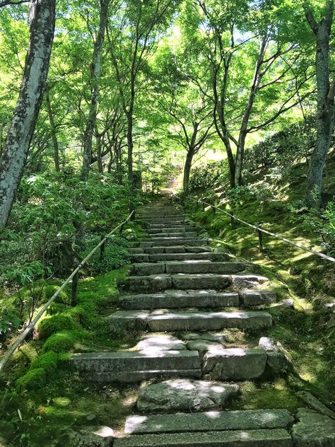 This was taken in a lovely Japsnese garden where moss was freely sprawling on the stairs after centuries of growth. To find more like this go to @merzelifestyle #traveljapan #japan #travelphotography #biophilia #moss #mossgarden Healing Design, Biophilic Design, Moss Garden, Organic Garden, One With Nature, Nature View, Positive Life, Walkway, Sustainable Living