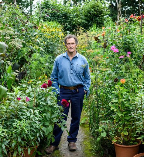 Monty Don: ‘Everything about gardening is personal. It heals my troubled brain’ | Life and style | The Guardian Longmeadow Garden, Monty Don Garden, Sensory Gardens, Charleston Restaurants, Gardeners World, Deadheading, Monty Don, Middleton Place, Homegrown Food