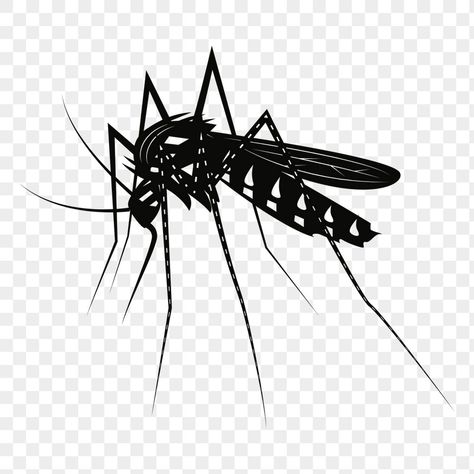 Mosquito Cartoon, Insect Illustration, Scientific Illustration, Cartoon Drawing, Public Domain Images, Vintage Illustration, Free Png, Cartoon Drawings, Public Domain