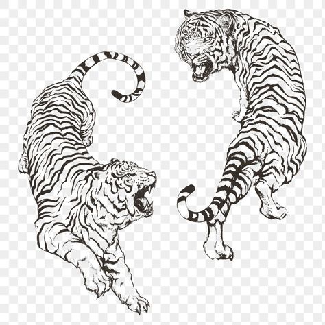 Hand drawn roaring yin yang tigers overlay | free image by rawpixel.com Tiger Black And White, Tiger Outline, Angry Tiger, Tiger Vector, Tiger Black, Leopard Tattoos, Tiger Tattoo Design, Tiger Drawing, Tiger Illustration