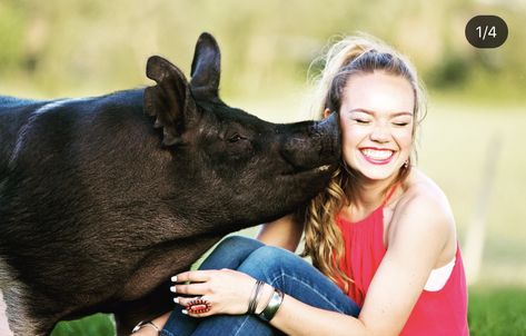 Senior Pictures With Pigs, Show Pig Senior Pictures, Livestock Pictures, Ffa Pictures, Pig Photography, Livestock Photography, Pig Pics, Horse Senior Pictures, Country Couple Pictures