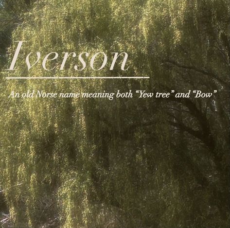 The name Iverson 🎍🌾 #aesthetic #aestheticnames #cute #willowtree #iverson #name Iverson Aesthetic, Ivy Name, Norse Names, Name Aesthetic, Fantasy Character Names, Aesthetic Names, Old Norse, Willow Tree, Character Names