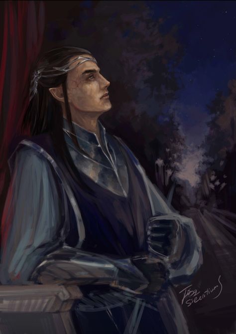 Celebrimbor Fanart, Celebrimbor Art, Male Elf, Tolkien Elves, Middle Earth Art, Dark Warrior, Elf Art, Lotr Art, Tolkien Art