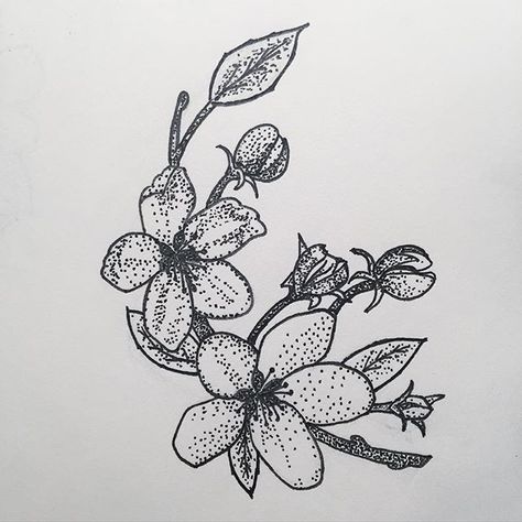 Apple blossoms - state flower of Michigan Michigan State Flower Tattoo, State Flower Tattoo, Michigan State Flower, Apple Blossom Tattoos, Michigan Tattoos, Apple Blossom Flower, Procreate Ideas, Tattoo For Boyfriend, State Flowers