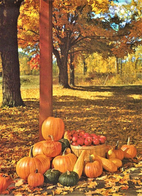 Turn Of The Century Aesthetic, Vintage Fall Backgrounds, Tavros Nitram, Tis Autumn, Country Autumn, Autumn Country, Fall Harvest Party, Retro Autumn, Fall Images