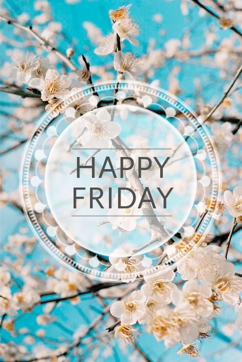 Happy Friday | Faith, Hope, Love, and Luck Survive Despite a Whiskered Accomplice Happy Friday Pictures, Friday Funnies, Morning Friday, Friday Images, Friday Love, Daily Greetings, Happy Friday Quotes, Happy Week End, Weekday Quotes