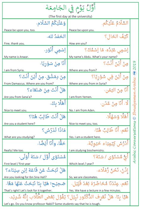 Basic Arabic Greetings Arabic Conversation For Beginners, How To Learn Arabic Language, Islamic Bio, Study Arabic, Arabic Alphabet Chart, Korean Conversation, Arabic Conversation, Learning Arabic For Beginners, Arabic Verbs