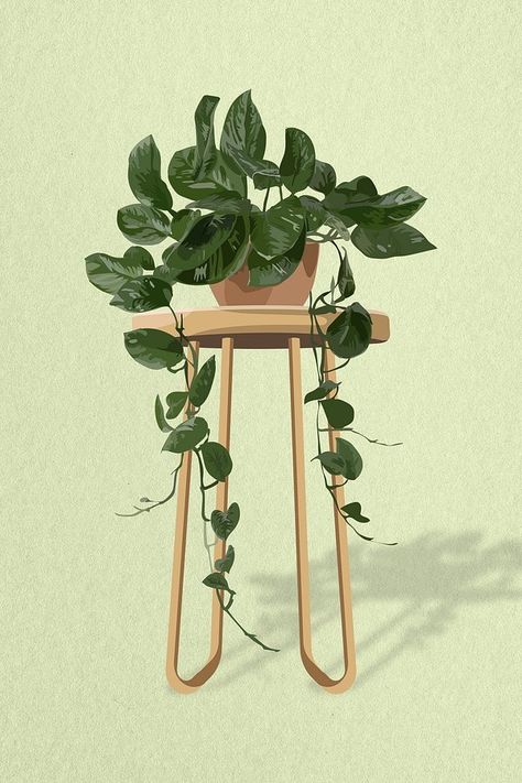 Houseplant psd image, fiddle leaf | Free PSD - rawpixel Hanging Pothos, African Mask Plant, Aesthetic Vector, Leaves Aesthetic, Golden Pothos, African Mask, Fiddle Leaf, African Masks, Aesthetic Aesthetic