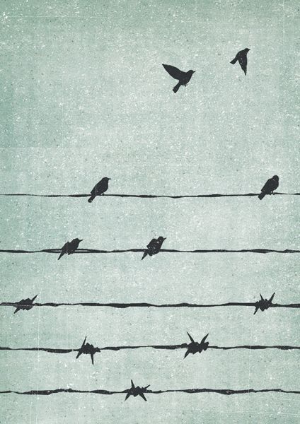 Davide Bonazzi, Freedom Art, Arte Doodle, Visual Metaphor, Conceptual Illustration, Branding Ideas, Visual Branding, Arte Inspo, Barbed Wire