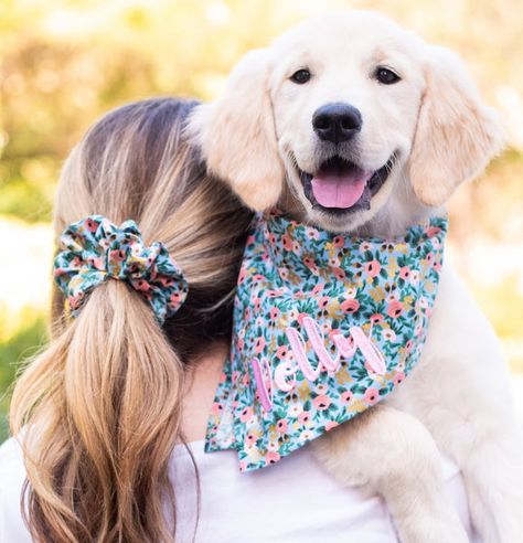 Pet Accessories Ideas, Cute Dog Accessories, Girl Dog Accessories, Dog Collar Accessories, Dog Harness Pattern, Socializing Dogs, Cute Dog Collars, Dog Collar Bow Tie, Pet Blog