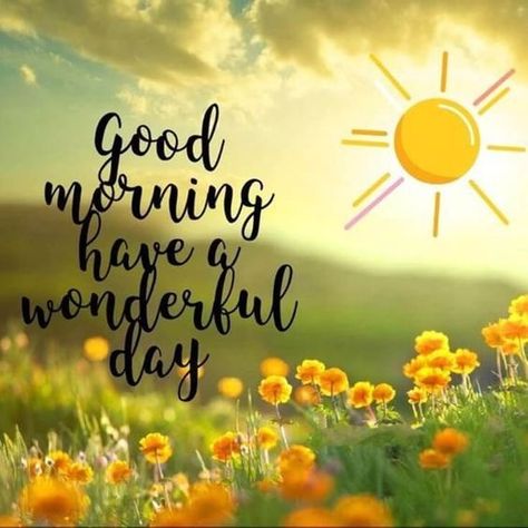 Mensagens! Wishing You A Wonderful Day, Great Morning Quotes, Good Night Cute Images, Good Morning Quotes Inspirational, It's A New Day, Positive Morning Quotes, Feel Deeply, Good Morning Today, Morning Memes