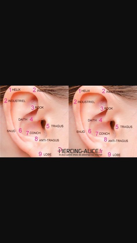 Anti Tragus Piercing, Anti Tragus, Piercing Tragus, Tragus Piercings, Tragus, Conch, Both Sides, Piercings