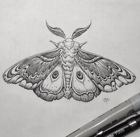 Tattoo Papillon, Moth Drawing, Moth Tattoo Design, Night Tattoo, Kunst Tattoos, Insect Tattoo, Tattoo Zeichnungen, Moth Art, Moth Tattoo