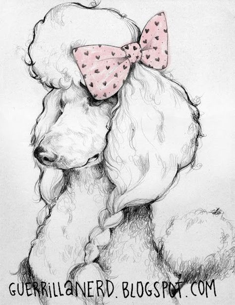 Poodle opawz.com supply pet hair dye,pet hair chalk,pet perfume,pet shampoo,spa.... Poodle Art Drawing, Groomer Tattoo, Poodle Drawings, Poodle Decor, Poodle Tattoo, Poodle Drawing, Poodle Grooming, Vintage Poodle, Dog Grooming Business