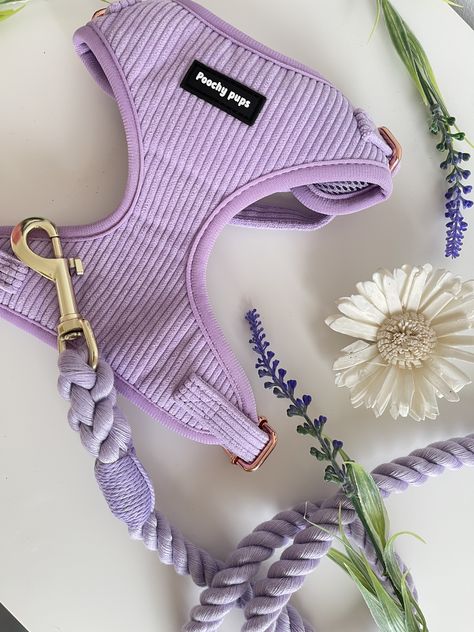 Cute Puppy Harness, Pretty Dog Harness, Harnesses For Dogs, Puppy Harness And Leash, Purple Dog Harness, Cute Harness For Dogs, Cute Dog Products, Aesthetic Dog Harness, Cute Dog Ideas