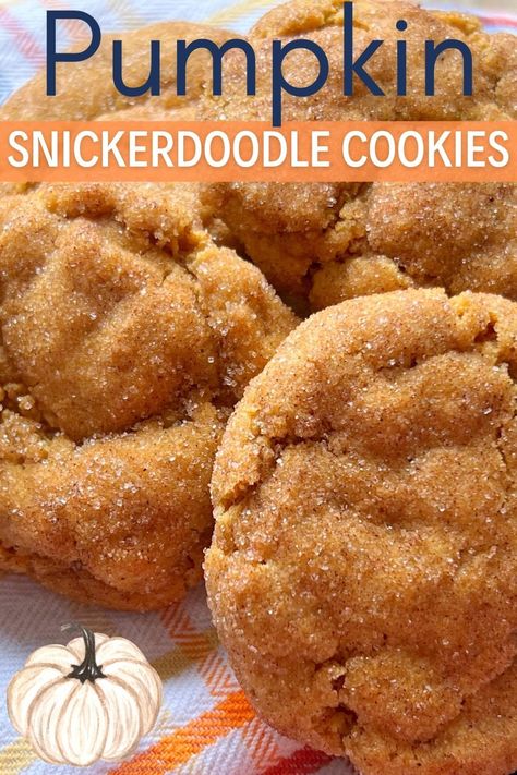 Homemade Rootbeer Recipe, Pumpkin Snickerdoodle Cookie Recipe, Snickerdoodle Cookies Recipe, Pumpkin Snickerdoodle Cookies, Soft Snickerdoodle Cookies, Fall Cookie Recipes, Pumpkin Snickerdoodles, Snickerdoodle Cookie, Pumpkin Cookie Recipe