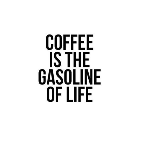 Coffee is the gasoline of life | #coffee #coffeequotes #morning#coffeehumor Iced Tea Maker, Coffee Quotes Funny, Funny Coffee Quotes, Coffee Board, Mr Coffee, Coffee Talk, Coffee Obsession, Coffee Is Life, Coffee Cafe